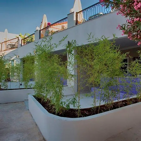 Hotel Golden Life & 4*