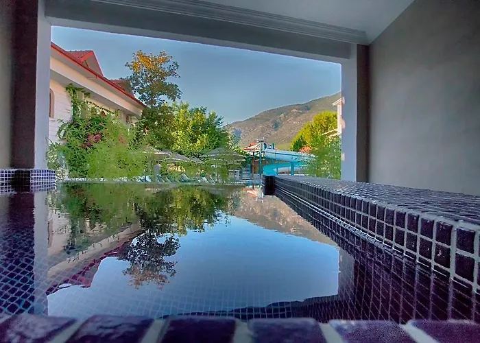 Отель Golden Life &