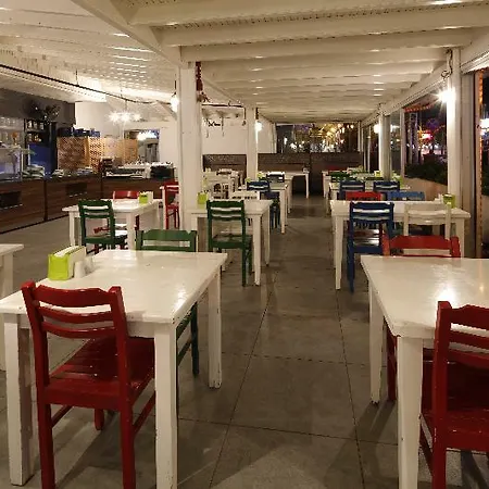 酒店 金色人生spa酒店 4*